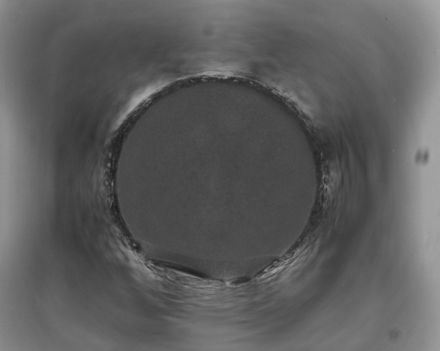 X0000097621256200803071503