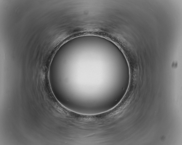X0000097621257200803071503