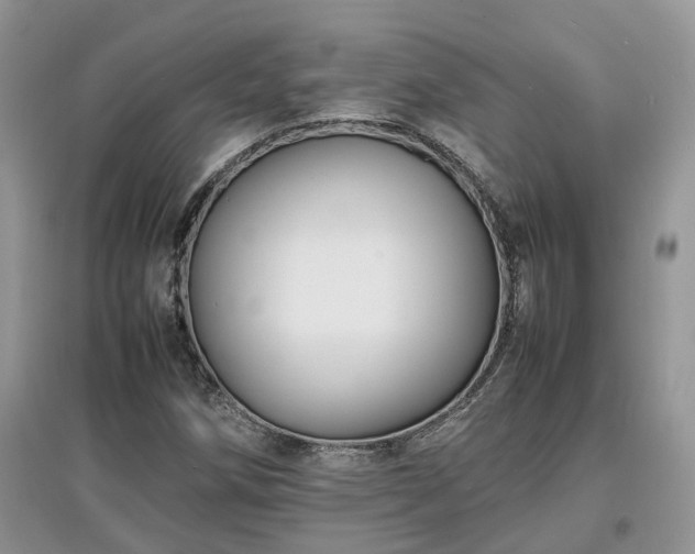 X0000097621258200803071503