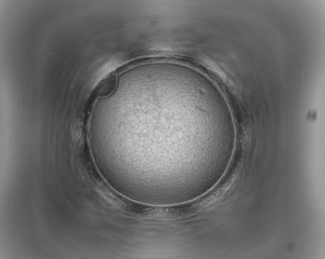 X0000097621259200803071503