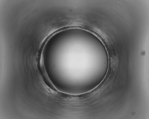 X0000097621260200803071503