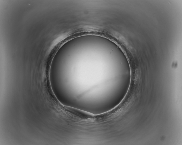 X0000097621261200803071503