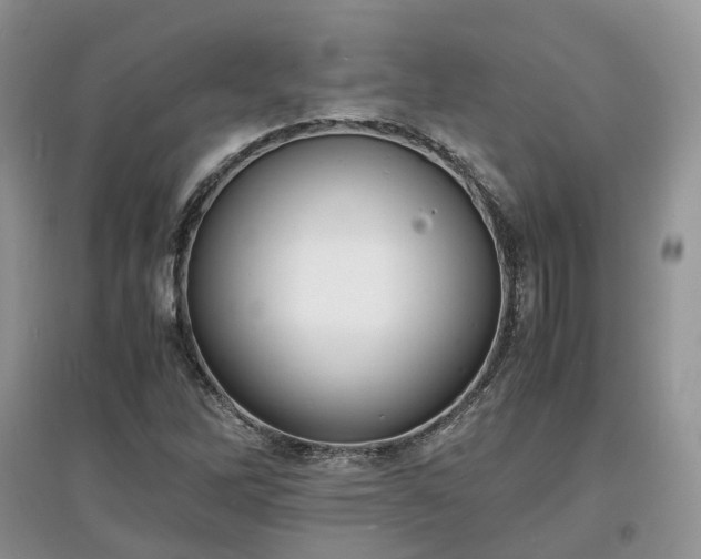 X0000097621262200803071503