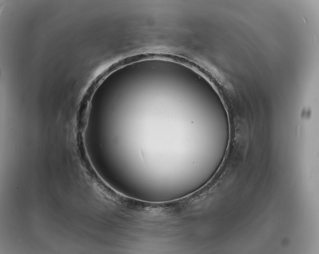 X0000097621264200803071503