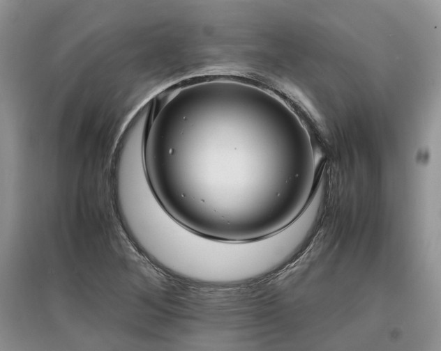 X0000097621268200803071503