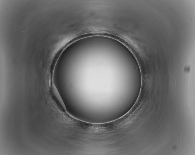 X0000097621269200803071503
