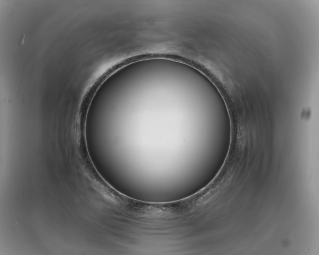 X0000097621270200803071503