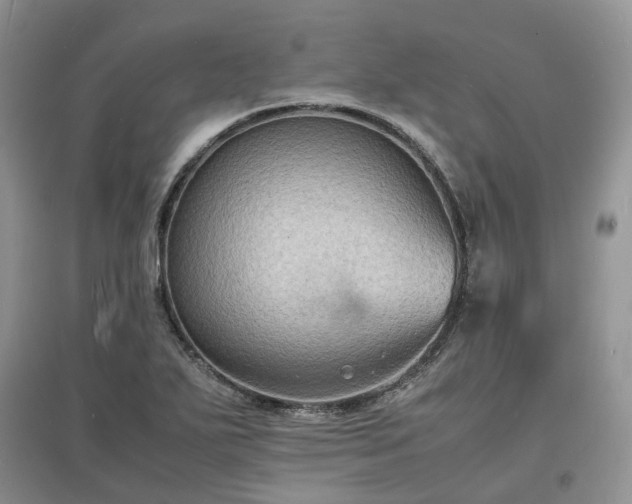 X0000097621271200803071503