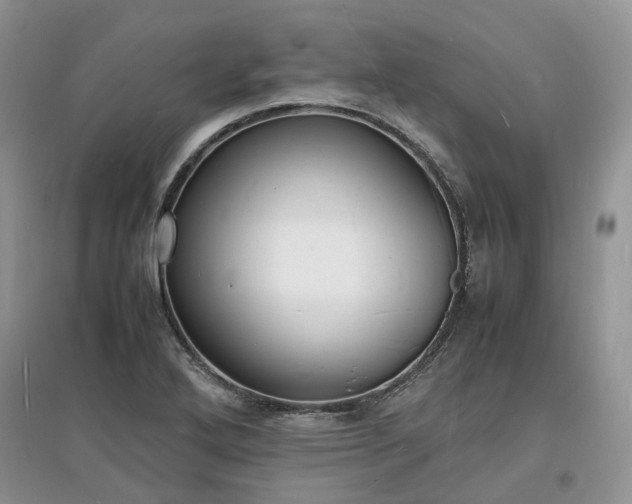 X0000097621272200803071503