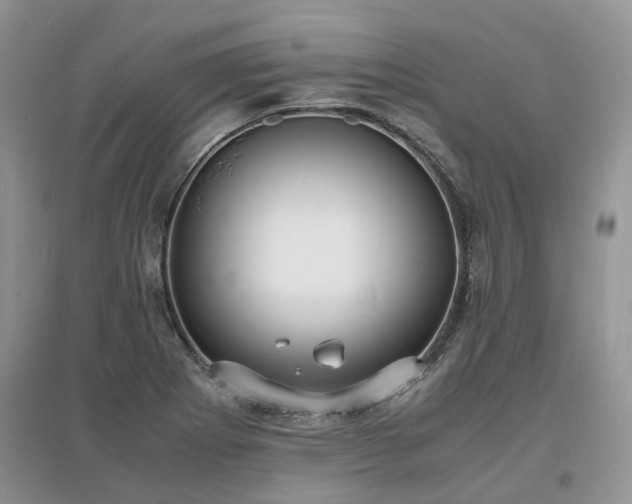 X0000097621273200803071503