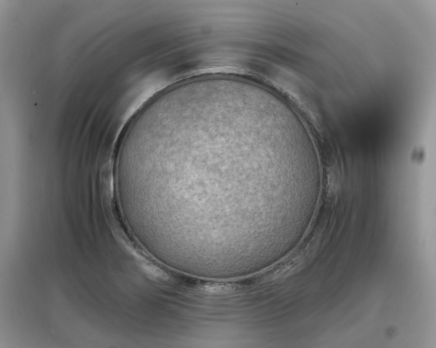 X0000097621274200803071503