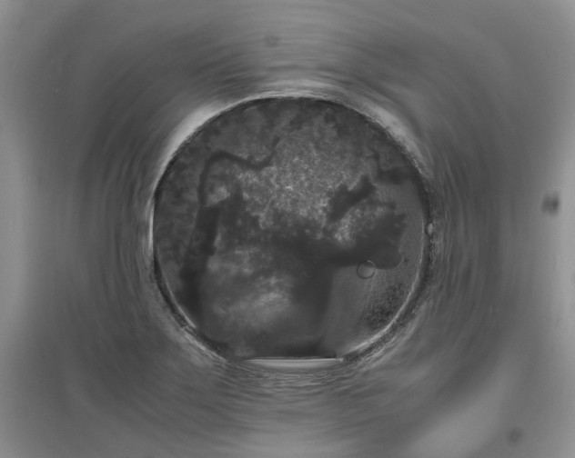 X0000097621275200803071503