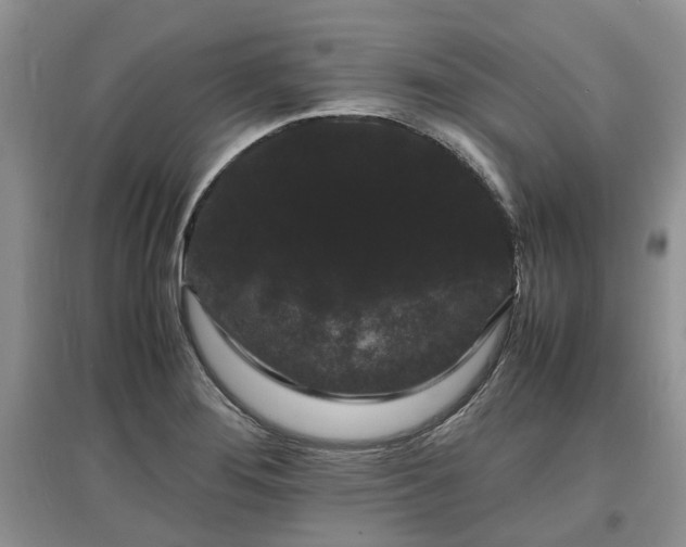 X0000097621276200803071503
