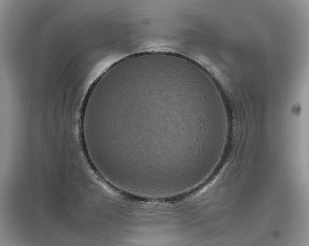 X0000097621277200803071503