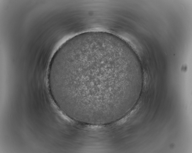 X0000097621278200803071503