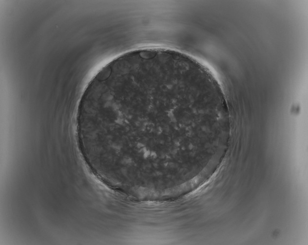 X0000097621279200803071503