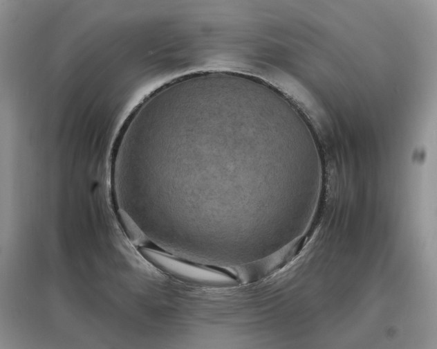 X0000097621280200803071503