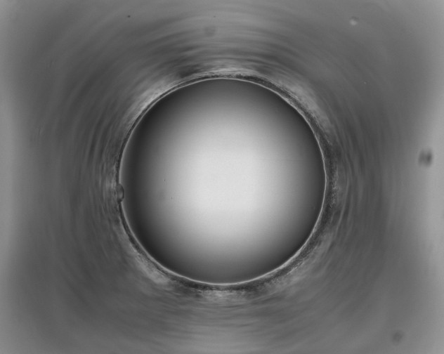 X0000097621281200803071503