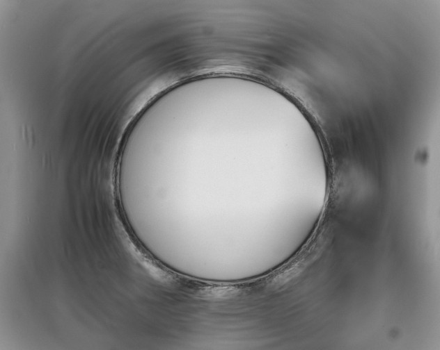 X0000097621282200803071503