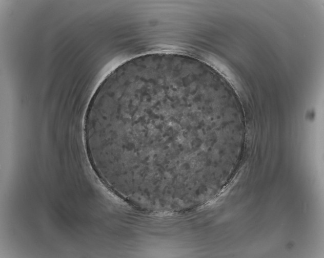 X0000097621283200803071502
