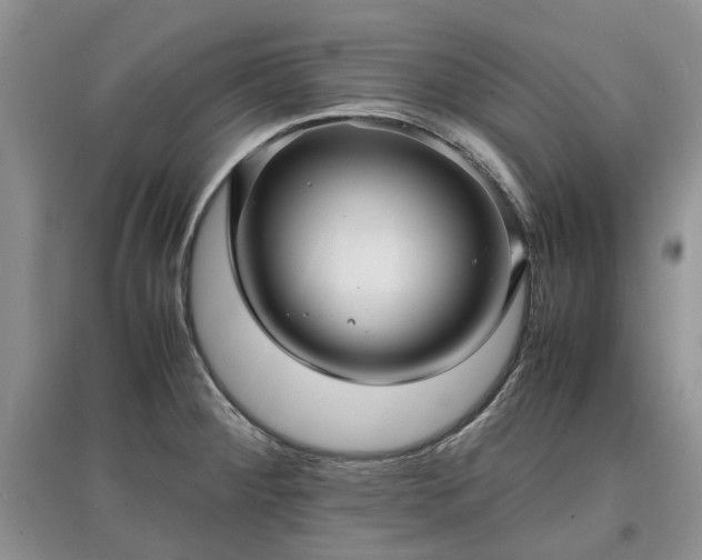 X0000097621284200803071502