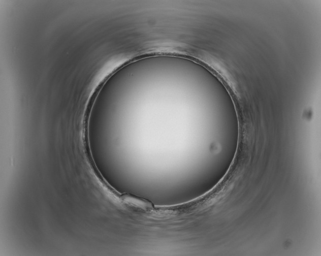 X0000097621285200803071502
