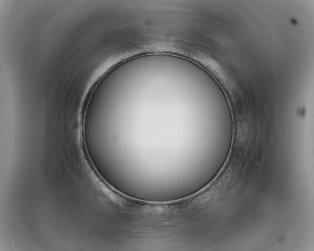 X0000097621286200803071502