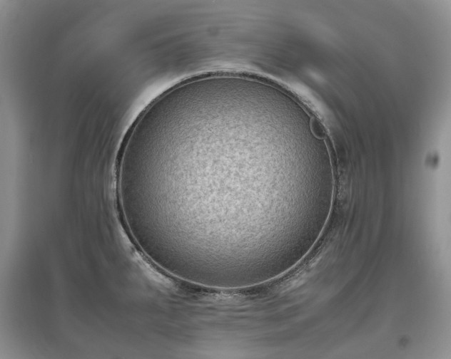 X0000097621287200803071502