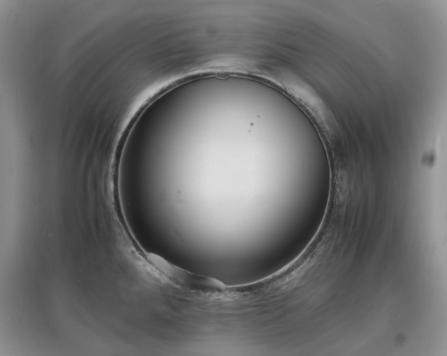 X0000097621288200803071502
