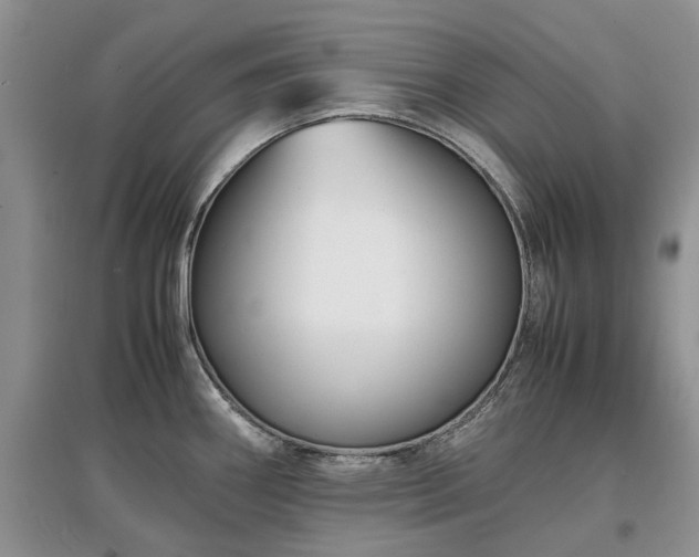X0000097621290200803071502