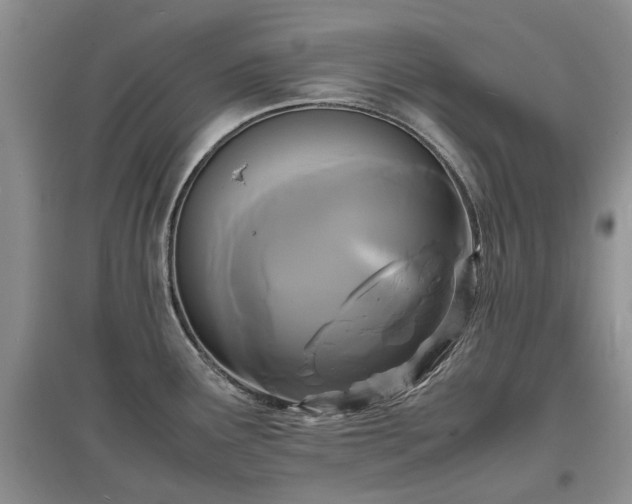 X0000097621291200803071502