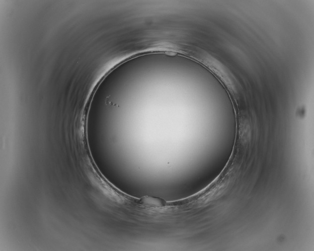 X0000097621292200803071502