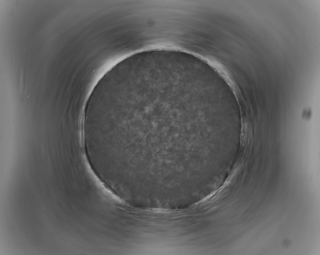 X0000097621295200803071502