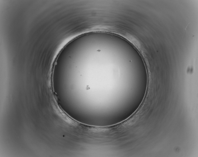 X0000097621296200803071502