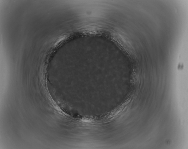 X0000097621297200803071502