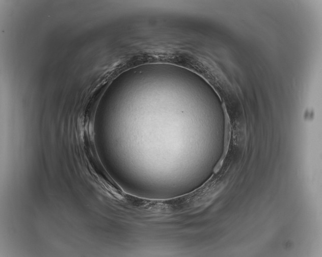 X0000097621298200803071502