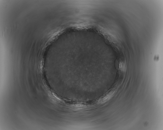 X0000097621300200803071502
