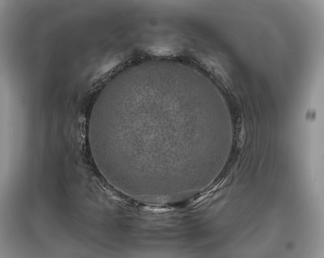 X0000097621301200803071502