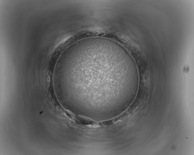 X0000097621302200803071502