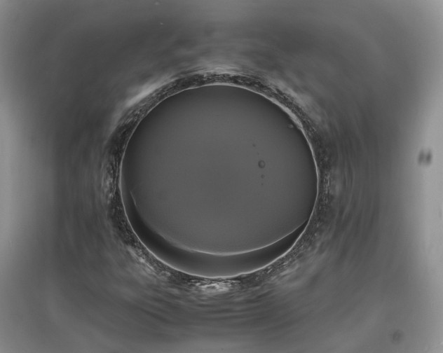 X0000097621303200803071502