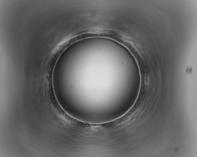 X0000097621304200803071502
