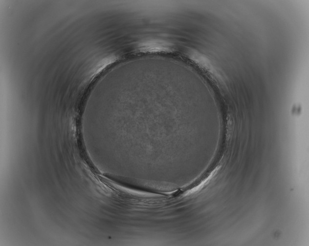 X0000097621305200803071502