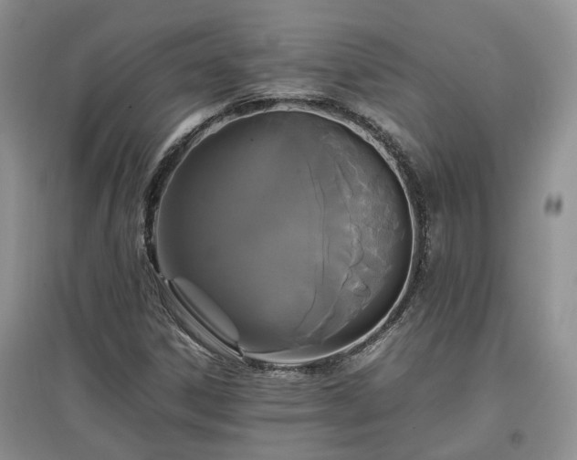 X0000097621306200803071502