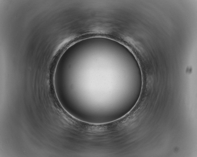 X0000097621307200803071502