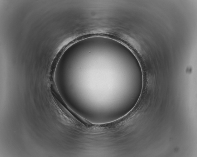 X0000097621308200803071502