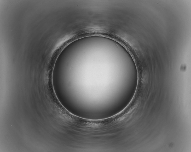 X0000097621309200803071502