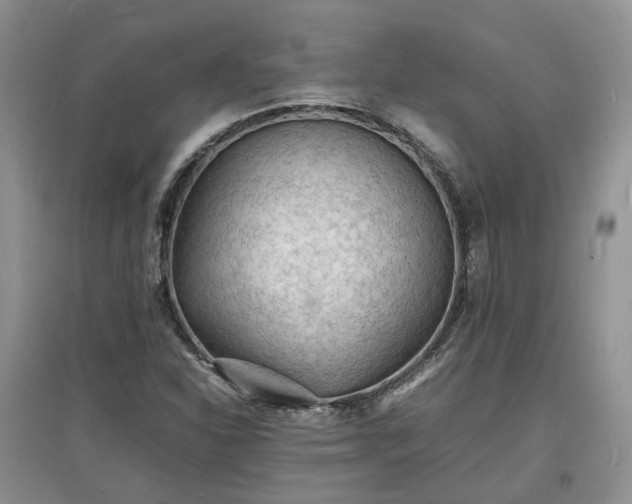 X0000097621310200803071502