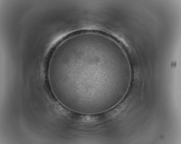 X0000097621311200803071502