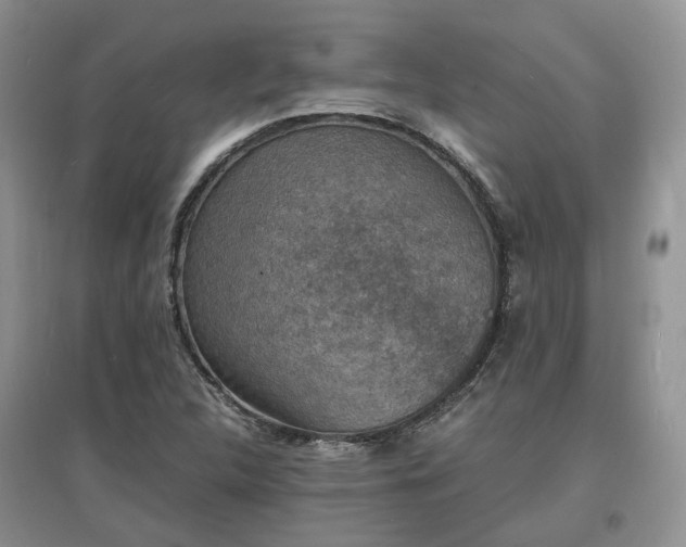 X0000097621312200803071502