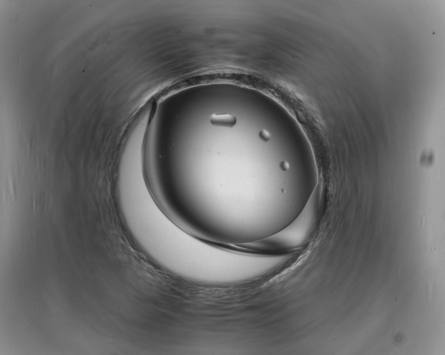X0000097621313200803071502